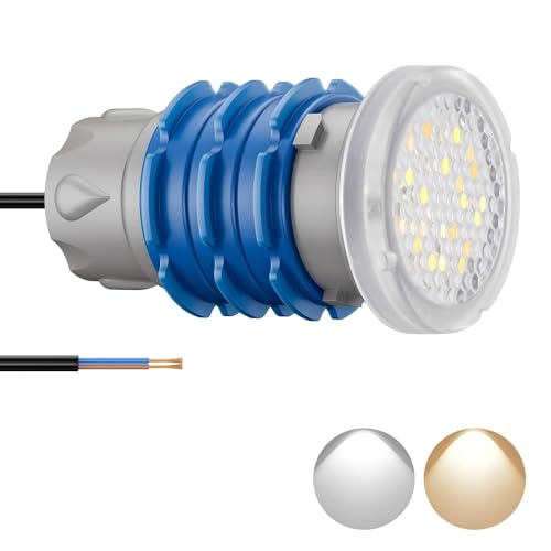 LyLmLe Mini Projecteur Piscine Vissable avec Filetage 1" 1/2, 6W