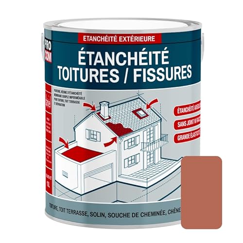 Peinture, résine d'étanchéité toiture, réparation tuiles, fissures, anti-fuites, décore, protège,